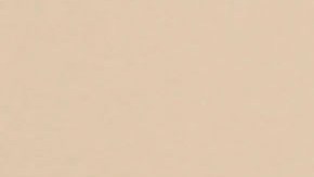 El extraño incidente se registró en un avión de Iraqi Airways.