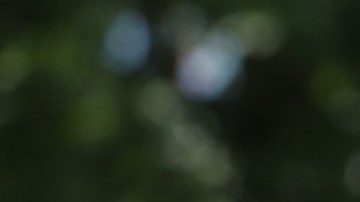 El exalcalde de Nueva York, Rudy Giuliani, enfrenta acusaciones en Georgia.