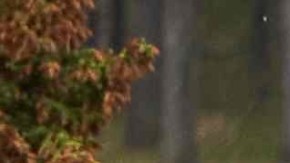 El posible cuerpo de Aranda se encontró en un lago canadiense.