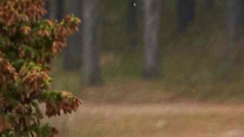 El posible cuerpo de Aranda se encontró en un lago canadiense.