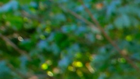 Autoridades de salud urgen a latinos a vacunarse contra Covid-19.