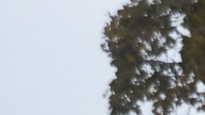 Policías en Kenosha