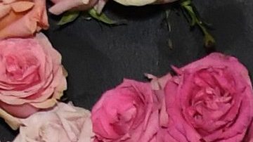 Ashley Benson es conocida por ser parte del elenco de 'Pretty Little Liars'.