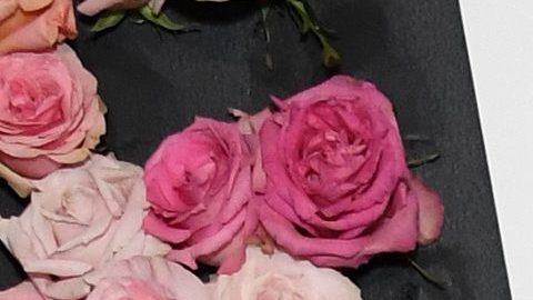 Ashley Benson es conocida por ser parte del elenco de 'Pretty Little Liars'.