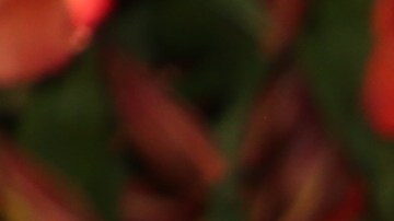 Clarissa Molina luce radiante en 'El Gordo y La Flaca'.