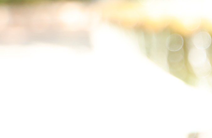 Imagen del logotipo de OnlyFans en una tableta electrónica. (Foto: Phillip Faraone/Getty Images for OnlyFans)