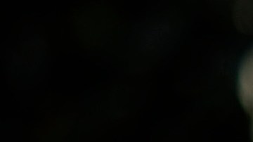 La Casa Blanca acusó a Kevin McCarthy, líder de la Cámara de Representantes, de mentir sobre el presidente Joe Biden