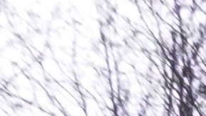 Universidad Estatal de Michigan conmemorará a las víctimas de tiroteo masivo ocurrido en febrero de este año