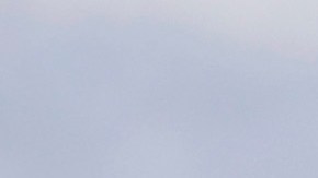 El hombre mató a un ganso canadiense con un palo de golf.