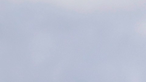 El hombre mató a un ganso canadiense con un palo de golf.