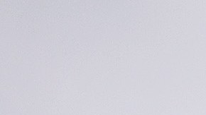 Everson Pereira durante la sesión de fotos de Yankees antes del inicio del Spring Training.