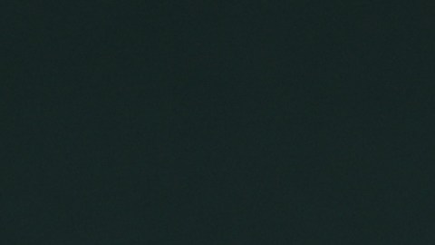 Miguel Bosé habló sobre el roba para tranquilizar a sus fans.