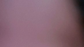 Abogada de Trump "agradece" que le hayan tomado su fotografía policial, y dijo que su cliente "es el hombre más famoso del planeta"