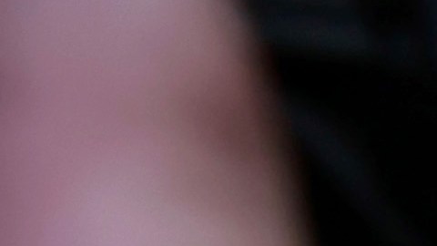 Abogada de Trump "agradece" que le hayan tomado su fotografía policial, y dijo que su cliente "es el hombre más famoso del planeta"