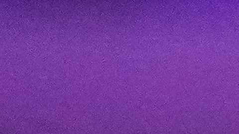Bronny James podrá volver a las canchas en un futuro muy cercano tras sufrir un defecto cardíaco congénito