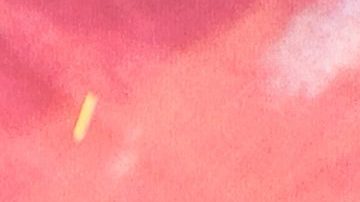 Chris Pratt y Katherine Schwarzenegger tienen otras propiedades en Los Ángeles.