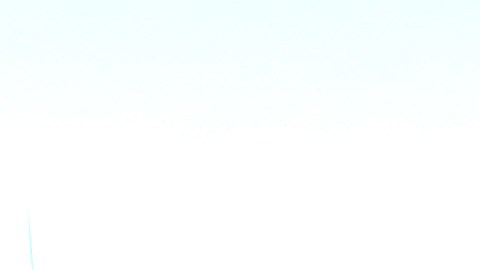 El letrero del edificio de la sede de Twitter en San Francisco también se subastará en un lote.