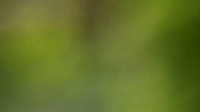 Lucas Moura durante un amistoso ante West Ham en la pretemporada 2023.