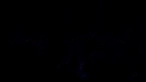 Así será el calendario de los Knicks para la temporada 2023-2024 de la NBA