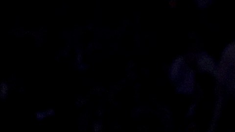 Así será el calendario de los Knicks para la temporada 2023-2024 de la NBA