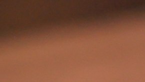 Fernando Ortiz aseguró que lucharán lo mejor posible para avanzar a la final de la Leagues Cup.