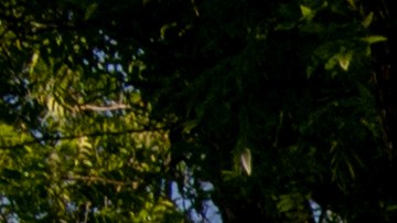 Uvalde, Texas Marks One Year Anniversary Of Deadly School Shooting