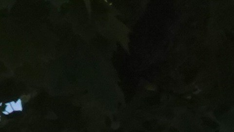 Six-Story Apartment Building Partially Collapses In Davenport, Iowa