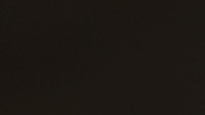 Robert De Niro en el Festival de Cine de Tribeca.