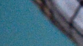 El tipo de armas con las que el hispano traficó tienen prohibida su exportación fuera de EE.UU. a México sin una licencia válida.