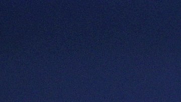 Tampa Bay Rays se pronunciaron por el polémico caso de Wander Franco y su presunta relación con menor de edad