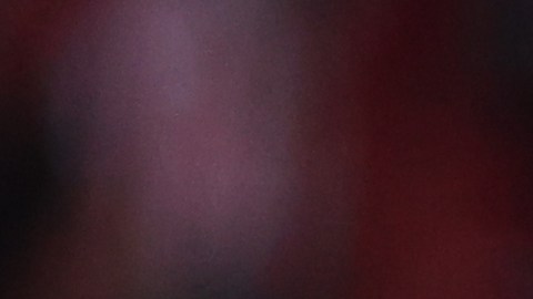 El jugador de Chivas consideró que se quedaron a deber con la afición del Rebaño Sagrado.