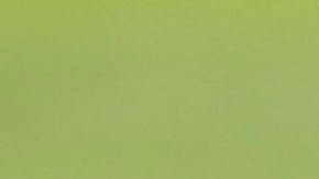 El entrenador aseguró que ya mantuvo una conversación con Quiñones para que pueda jugar en la selección.