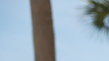 Departamento de Justicia evalúa descalificar al abogado de Walt Nauta por conflicto de intereses