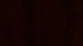 Recaudador de donaciones de George Santos fue acusado de suplantación de identidad