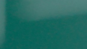 Aaron Rodgers pasó este año a jugar con los New York Jets.