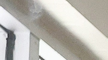 Las Palmitas Mini Market