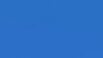 La red social Twitter, adquirida por el magnate Elon Musk el año pasado, cambió su nombre y logo por una X.