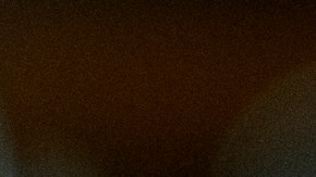 Juez dictamina que los reclamos falsos de Trump estaban cubiertos por la inmunidad presidencial