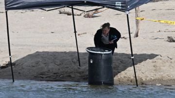 Un empleado de mantenimiento del parque estatal vio por primera vez el barril plástico flotando en la laguna.