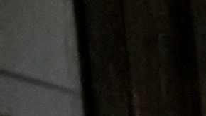 A la ciudad de Nueva York han llegado en un año más de 95,600 personas.