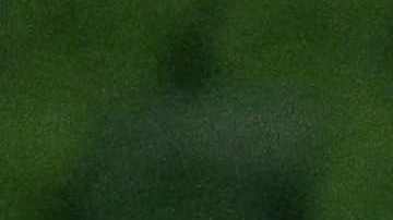 La celebración de las jugadoras de Jamaica tras empatar con Brasil y avanzar a octavos de final del Mundial.