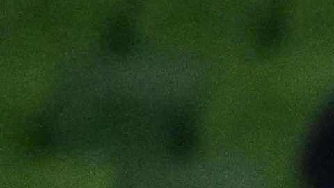 La celebración de las jugadoras de Jamaica tras empatar con Brasil y avanzar a octavos de final del Mundial.