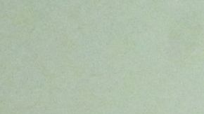 Putin podría optar por no celebrar elecciones presidenciales el próximo año.