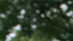 Las contribuciones a la campaña de Pence han aumentado a raíz de la reciente imputación de Trump.