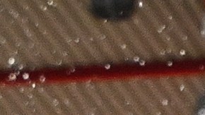 El piloto azteca consideró que Verstappen es el mejor piloto de la actualidad.