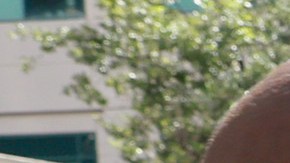 Carlos de Oliveira, gerente de Mar-a-Lago y empleado de Trump, se declara "no culpable" de las acusaciones en su contra