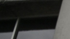 Fernando Villavicencio fue asesinado este miércoles tras salir de un evento de campaña.