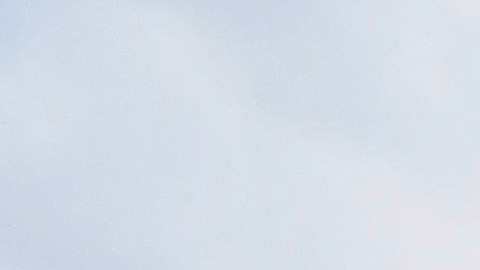 El Harriott, un barco fluvial, permanece atracado en la orilla del río Alabama en el centro de Montgomery tras la trifulca.