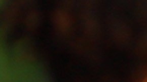 Jordi Alba en su primer entrenamiento con Lionel Messi en el Inter Miami.