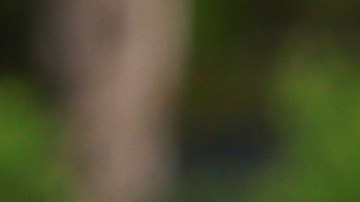 El delantero argentino había pensado desde joven en militar dentro de la MLS.